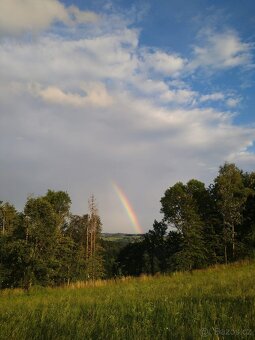 Zahrada/pozemek na Broumovsku - 10