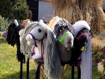 Hobby horse pro malé děti - 10