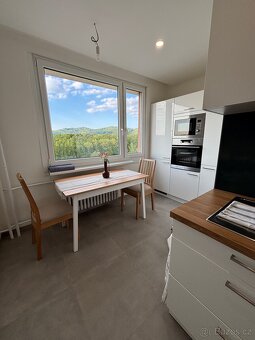 Pronajem 2+1, 60m2, Liberec Ruprechtice, Hokejka - 10