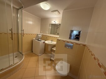 Pronájem bytu 1+kk, 54 m2 - Praha - Holešovice, ev.č. N08097 - 10