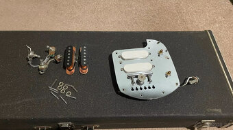 Aria Jedson Lap Steel Slide Guitar Gilmour. - 10