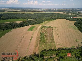 Prodej, pozemky/bydlení, 3000 m2, Lično , Bačalky, Jičín [ID - 10