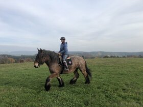 Obsedání koní - 10