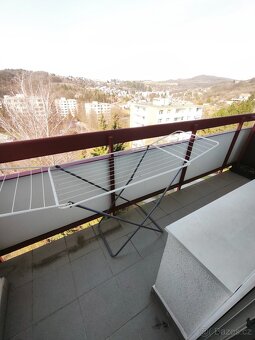 Pronájem bytu 2+1 Zlín - 10