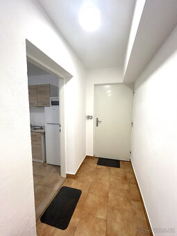Ateliér/nebyt Žižkov - Jarov - 10