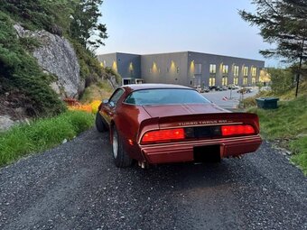 Pontiac Firebird Trans Am z roku 1980 - 10
