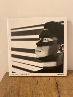 Moby, The Prodigy, Ferry Corsten, Sash, Scooter a jiné. - 10