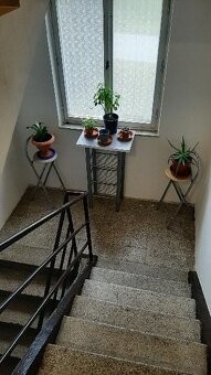 Prodej domu 310 m², pozemek 695 m² Malá Skála - Sněhov. - 10