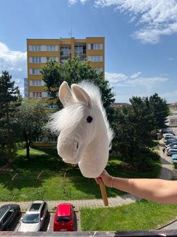Hobby Horse - 10