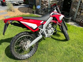 Gilera RCR 50ccm - 10