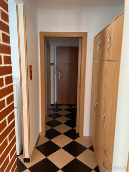 Podnájem bytu 3+kk Týn nad Vltavou - 10
