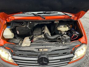 Mercedes Sprinter 4x4 - 10