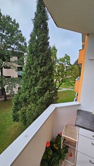 2+1 žďár n. s. 6 opraveno text - 10