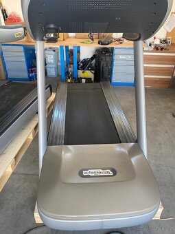Pásy Technogym (2 ks) - lze zakoupit po 1 ks - 10