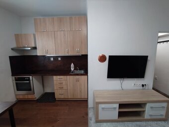 1+kk po rekonstrukci k prodeji - 10
