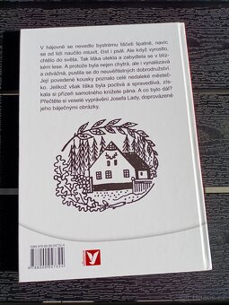 Dětská knížka, kniha - 10