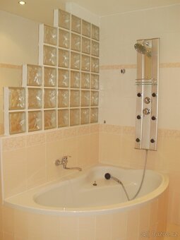 Pronájem bytu 2+1 - 10