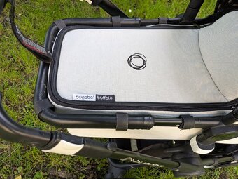 Buffalo Bugaboo - 10