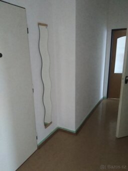 Pronájem bytu 2+1 v Ostravě-Mar. Horách - 10