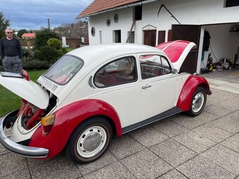 VW Brouk - 10
