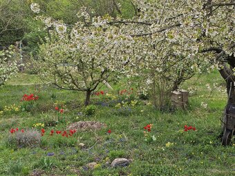 Zděná chata 48m², pozemek 421m² Kralupy nad Vltavou - 10