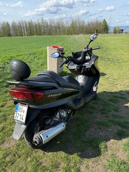 Yamaha Majesty - 10