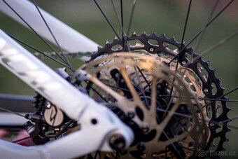 Commencal Meta AM 29, vel. L, FOX + Shimano Saint - 10