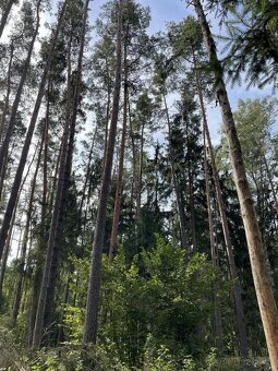 Prodám pozemky v k.ú. Drahov - 10