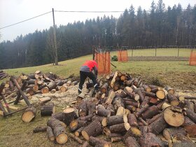 Řezání a štípání dřeva - 10