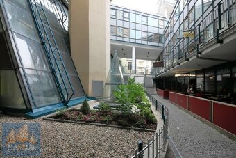 Pronájem obchodních prostor (376,2 m2), Chrudimská, Praha 3 - 10