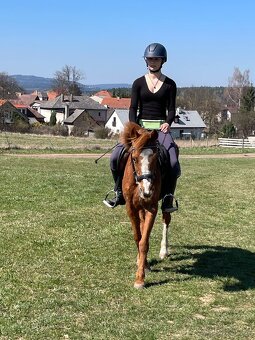 Pony B klisna - 10