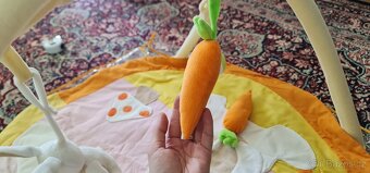 hrací deka s hrazdičkou (0+ měs.) - 10