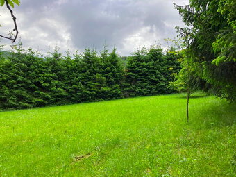 Prodej pozemku 650 m2 k výstavbě chaty v Sušici - 10