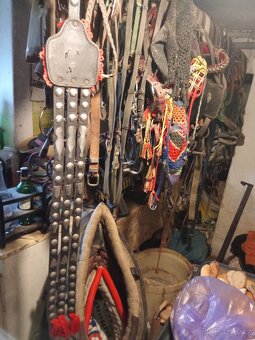 Prodám koňské potřeby - 10