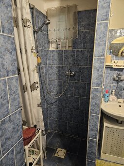Prodej zděné chaty - 10