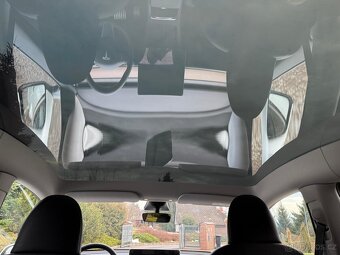 Tesla Model Y Performance - 10