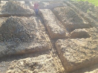 Bagr, zemní práce. pařezy - 10