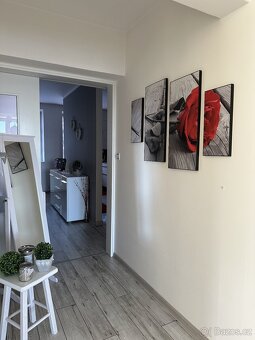 Rodinný dům s podnikatelským potenciálem - 10