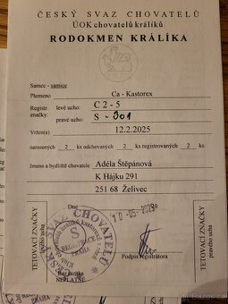 Kastorex - 10