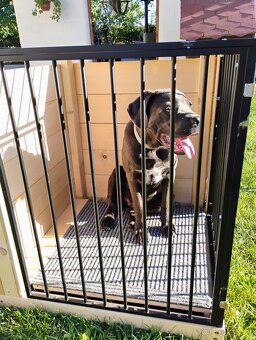 Vnitřní-interiorová odkládací klec pro psa, vyrobená na míru - 10