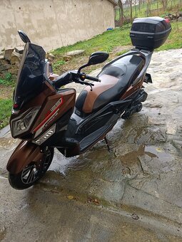 Kentoya Maximus - 10