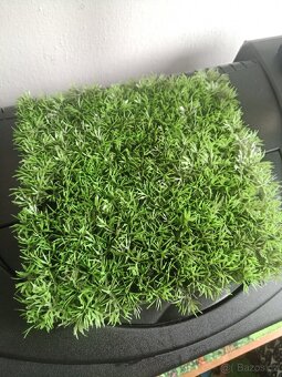 Akvárium, terárium, paludarium - 10