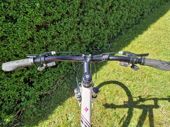 Specialized Ariel - 10