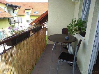 Pronájem bytu 3+kk Mikulov - 10