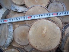 placky a kolečka z různého dřeva k vypalování,malování a pod - 10