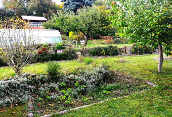 Prodej zahrady s chatou - 10