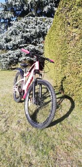 Elektrokolo CRUSSIS - 10