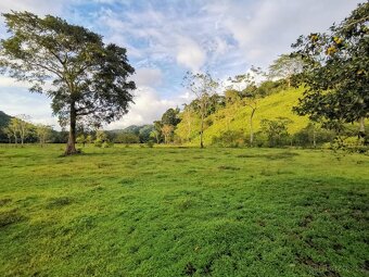 Pozemky a domy Kostarika - 10