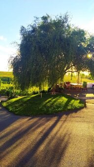 Pronájem 1 kk Zvěrotice - 10