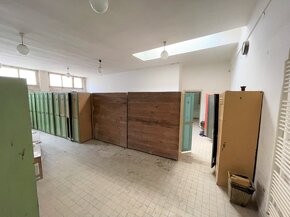 Nájem skladově výrobní haly 1650 m2, LOUNY (Dálnice D7) - 10